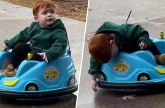 Toddler falls asleep riding in circles in toy bumper car